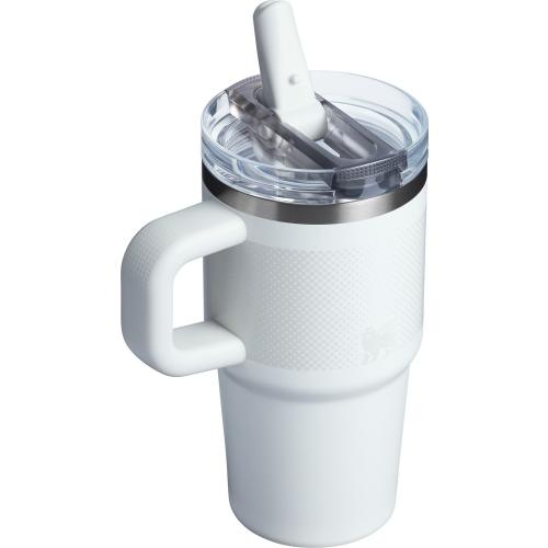 Stanley 20 oz. Quencher ProTour Flip Straw Tumbler