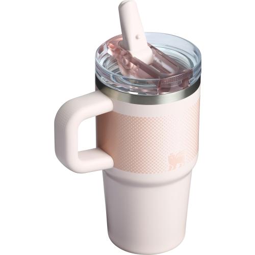 Stanley 20 oz. Quencher ProTour Flip Straw Tumbler