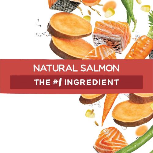 Purina Beneful Originals Skin and Coat Dry Dog Food with Natural Salmon, 36 lbs.