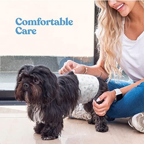Comfortable Male Dog Diapers - 12-Pack Super Absorbent Disposable Male Dog Wraps- FlashDry Gel Technology  Wetness Indicator Doggie Diapers- Leakproof