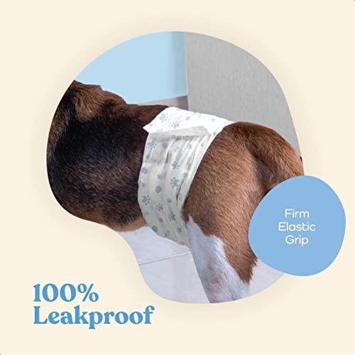 Comfortable Male Dog Diapers - 12-Pack Super Absorbent Disposable Male Dog Wraps- FlashDry Gel Technology  Wetness Indicator Doggie Diapers- Leakproof