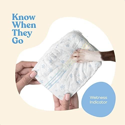 Comfortable Male Dog Diapers - 12-Pack Super Absorbent Disposable Male Dog Wraps- FlashDry Gel Technology  Wetness Indicator Doggie Diapers- Leakproof
