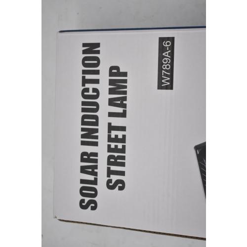 Solar Induction Streem Lamp Light 1200W W789A-6