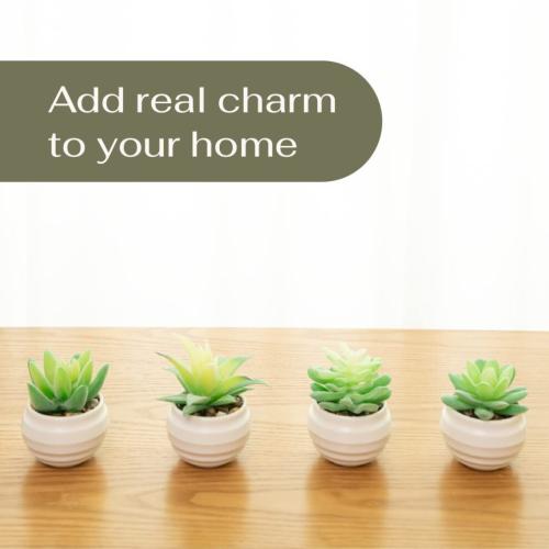VIVERIE Mini 4Pcs Emerald Green Artificial Succulents in Plastic Pots  Sage Green Room Decor Aesthetics  Zen Garden  Office Dec