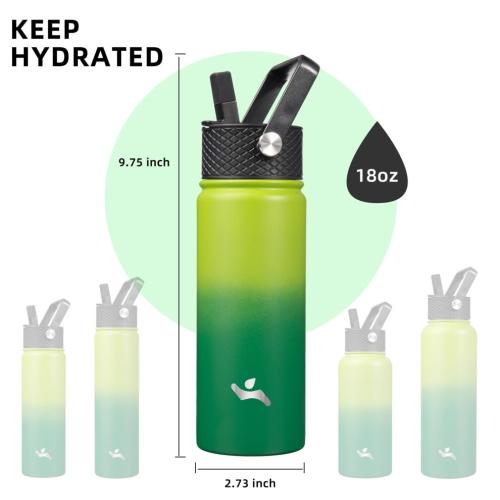 Size 18oz Color Green Konokyo Insulated Water Bottle 18oz Stainless Steel Water Bottles with 2 Lids Sports Water Bottle Bamboo Grove