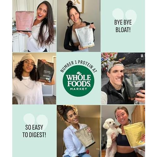 Truvani Vegan Pea Protein Powder | Mint Chocolate | 20g Organic Plant Based Protein | 1 Serving | Keto | Gluten & Dairy Free | Low Carb | No Added Sug