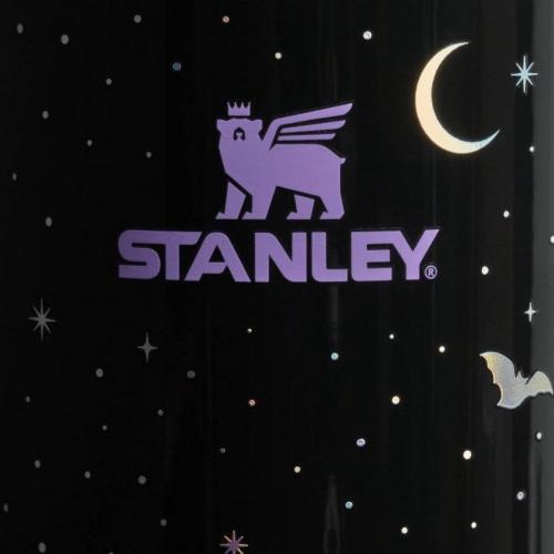 Stanley Halloween 20oz H2.0 Flowstate Quencher Tumbler in Spellcast Black. NWT!
