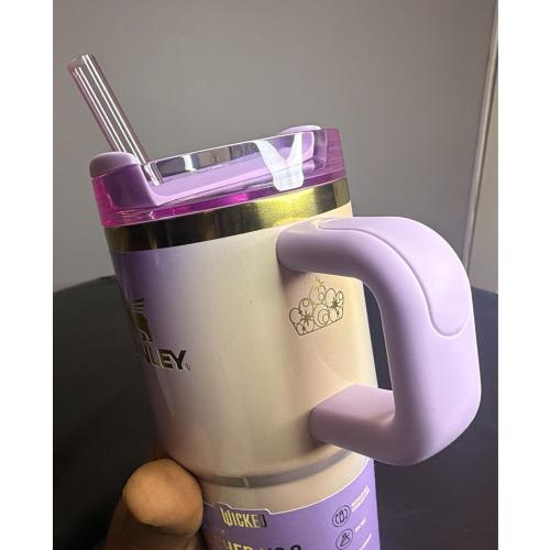 X Stanley X Wicked for Good FlowState Quencher Tumbler 20 Oz Glinda