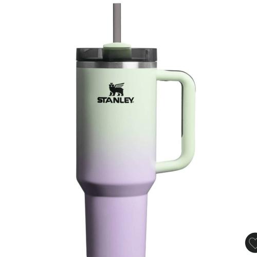 Stanley Halloween 40oz H2.0 Flowstate Quencher Tumbler in Hypnotic Green. NWT!
