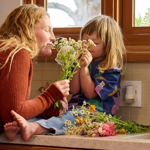 Mrs. Meyer's Clean Day Scented Oil Refills, Rain Water, White, Contains 2 .67 Fl Oz Refills