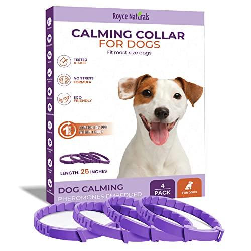 Royce Naturals 4 Pack Calming Collar for Dogs, Pheromone Breakaway Dog Collar, Separation Anxiety Relief for Dogs, Purple, (PETCOL01-3PP)