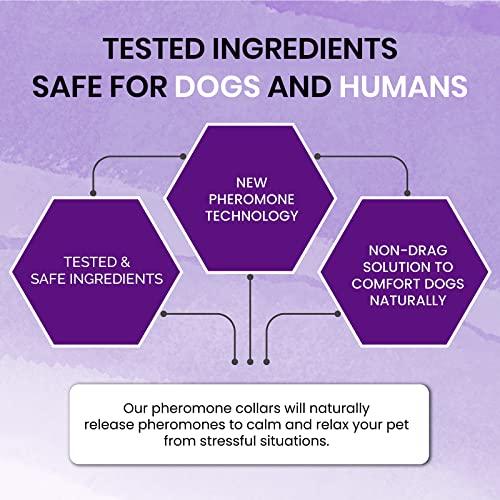 Royce Naturals 4 Pack Calming Collar for Dogs, Pheromone Breakaway Dog Collar, Separation Anxiety Relief for Dogs, Purple, (PETCOL01-3PP)