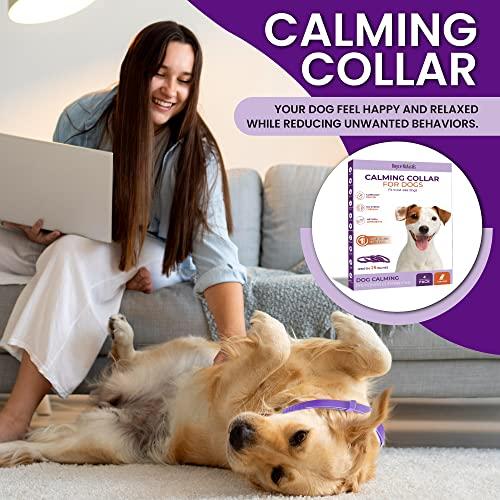 Royce Naturals 4 Pack Calming Collar for Dogs, Pheromone Breakaway Dog Collar, Separation Anxiety Relief for Dogs, Purple, (PETCOL01-3PP)