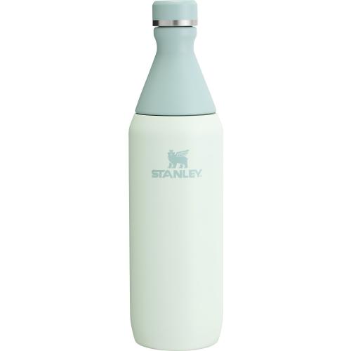 Stanley 20 oz. All Day Slim Bottle