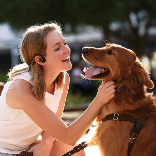 OpenMove Bone-Conduction Open-Ear Lifestyle Headphones with Microphones in Gray