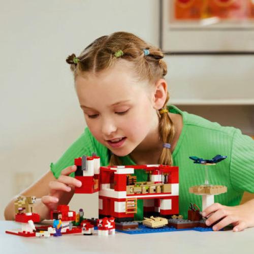 LEGO® 500-pc. Building Blocks