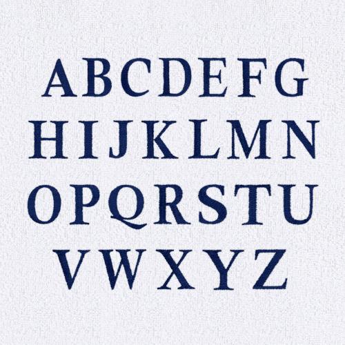 SUPERIOR Monogrammed Letter Towel or Chaise Lounge Chair Cover