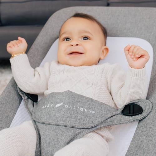 Baby Delight Alpine Deluxe Portable Bouncer