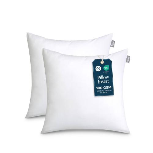 White Throw Pillow Insert Set 2pk