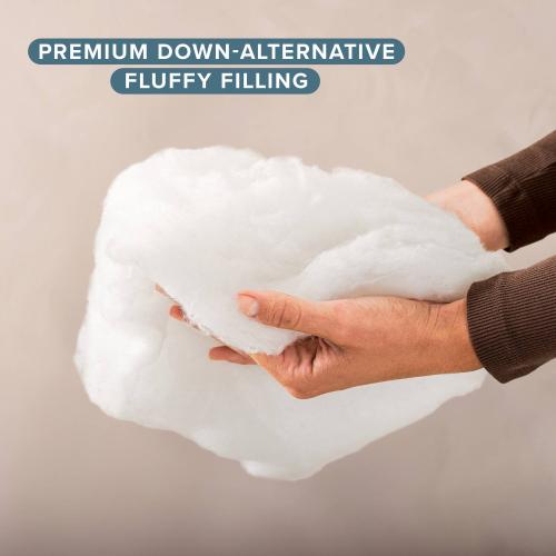 White Throw Pillow Insert Set 2pk