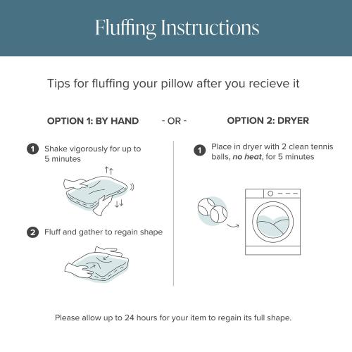 White Throw Pillow Insert Set 2pk