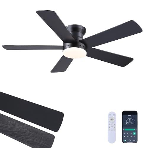 Ayaoty Ceiling Fans with Lights - 48 Black Flush Mount Ceiling Fan Light with 6 Speeds 3CCT Dimmable, Revesible Motor, Low Profile Fan Light for Modern Indoor Bedroom, Kitchen