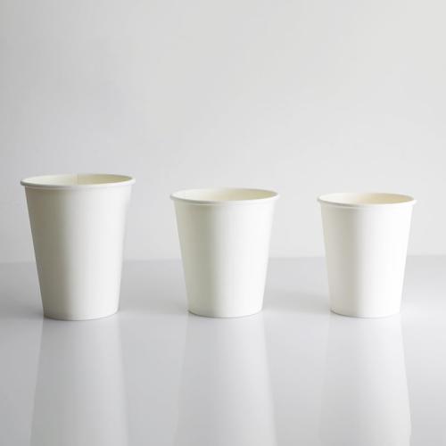 Amazon Basics Disposable Paper  coffee Cups with lids for Hot and Cold Beverages, 12 ounces, White,