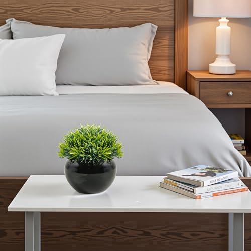 Velener Small Artificial Succulents Grass Desk Plant for Office, Fake Sage Plants for Shelf Decor, Mini Faux Plant Indoor, Masculine Home Decor, Coffee Table Decor, Bathroom Decor in Pot (2 Pack)
