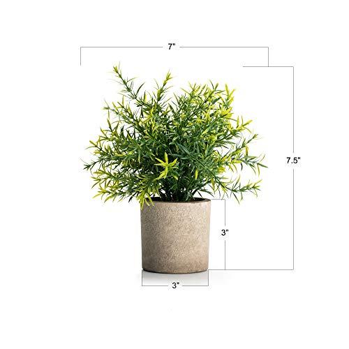 Velener 2Pcs Artificial Potted Rosemary Plants- Rustic Farmhouse Fake Shrubs for Decoration Centerpieces Living Room, Shelf Bedroom Aesthetic Green Bathroom Accessories Boho Small Desk Plant Office