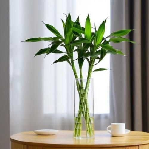 CYS EXCEL Cylinder Clear Glass Vase (H:20 D:6) | Multiple Size Choices Glass Flower Vase Centerpieces | Hurricane Floating Candle Holder Vase