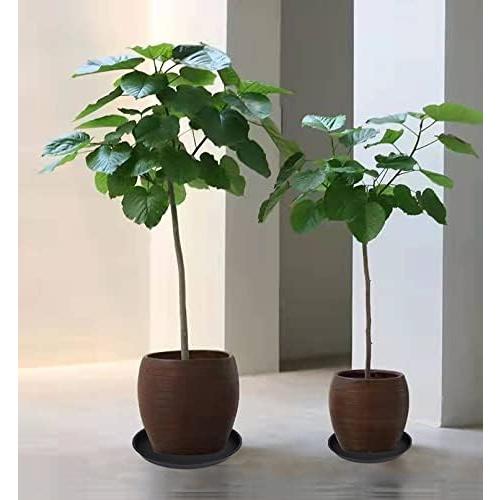 6 Pack of 12 inch Plant Saucer, Heavy Duty Plastic Plant Saucer 12 inch Round, Plant Tray for Pots, Flower Saucers for Indoors, Garden Plate Bowls, Trays for Planter 10/11/12 (Black)