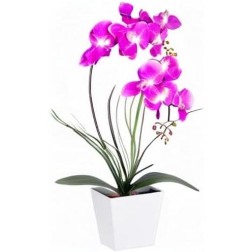 HOMESEASONS Orchid Lamp-LED Lighted Orchid Arrangements,Pre Lit Artificial Orchid,Light Up Flower Lights, Faux Orchid Phalaenopsis Arrangement (Purple)