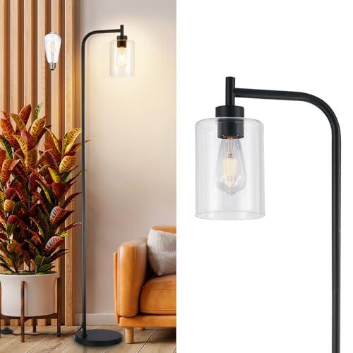DLLT Floor Lamp Tall for Room: Black Standing Lamp with Clear Glass Lampshade for Living Room - Modern Bright Lamp for Bedroom - Industrial Corner Floor Lamps for Office 8W Led Bulb Included