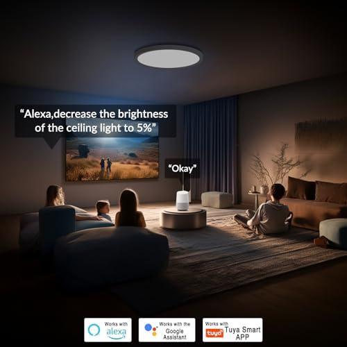 2 Pack  Size 15.8 Smart RGB LED Ceiling Light with Remote, WiFi Flush Mount Ceiling Light Works with Alexa & Google Home, 32W=3200LM Dimmable, DIY Colors & 2700K-6500K, for Bedroom Living Room