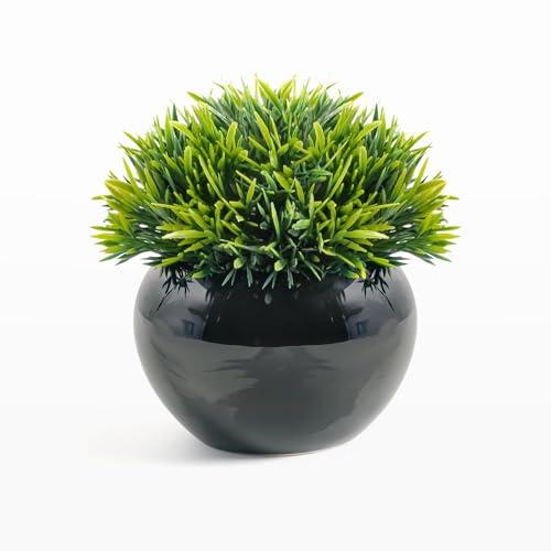 Bundle of 2 Velener Small Artificial Succulents Grass Desk Plant for Office, Fake Sage Plants for Shelf Decor, Mini Faux Plant Indoor, Masculine Home Decor, Coffee Table Decor, Bathroom Counter Decor in Pot