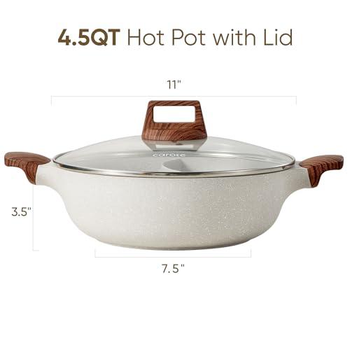CAROTE 4.5QT Stockpot with Divider Double Flavor