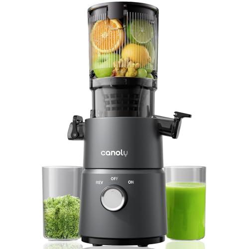 Canoly 2-in-1 Cold Press Juicer C03, Makes Juice & Nut Milk
