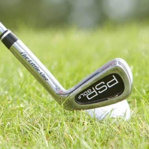 The Little One 7 Iron Right Hand Swing Trainer for Adults: Golf Training Aid for Finding The Sweet Spot (Stiff Flex) Black