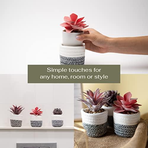 VIVERIE 3Pcs Fake Succulent Plants in Boho Removable Rope Basket Pot Set- Farmhouse Faux Cactus Plant for Home Decor Indoor Bedroom Bathroom Office Desk Shelf Boho Room Kitchen Decor and Accessories