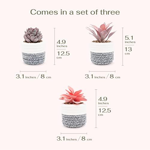 VIVERIE 3Pcs Fake Succulent Plants in Boho Removable Rope Basket Pot Set- Farmhouse Faux Cactus Plant for Home Decor Indoor Bedroom Bathroom Office Desk Shelf Boho Room Kitchen Decor and Accessories