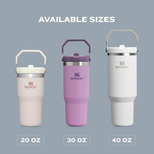 STANLEY IceFlow 2.0 Flip Straw Tumbler with Handle 30 oz | Twist On Lid and Flip Up Straw | Leak Resistant Water Bottle | Insulated Stainless Steel | BPA-Free | Frost