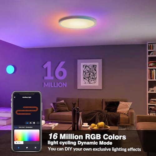 2 Pack  Size 15.8 Smart RGB LED Ceiling Light with Remote, WiFi Flush Mount Ceiling Light Works with Alexa & Google Home, 32W=3200LM Dimmable, DIY Colors & 2700K-6500K, for Bedroom Living Room