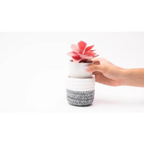 VIVERIE 3Pcs Fake Succulent Plants in Boho Removable Rope Basket Pot Set- Farmhouse Faux Cactus Plant for Home Decor Indoor Bedroom Bathroom Office Desk Shelf Boho Room Kitchen Decor and Accessories