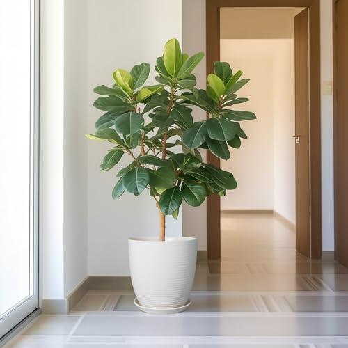 12 Inch Ceramic Planter Pot, Large Planter with Drainage Hole and Saucer Round Flower Pot for Indoor Outdoor Plants, White