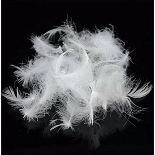 Bulk Goose Down Feather Stuffing & Fill – Hypoallergenic Pillow Filling, Repair, Restuff, Fluff for Couch Cushions, Comforters, Jackets5/95-1Lb DIY