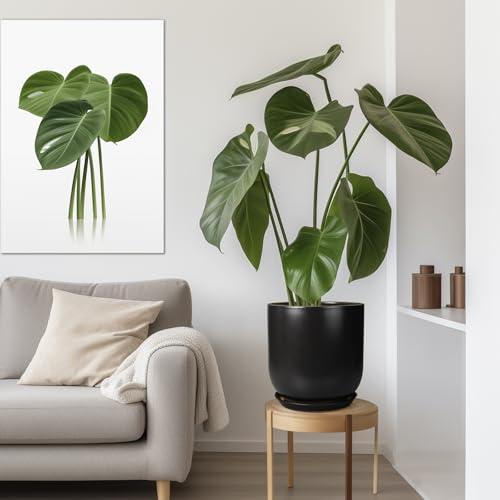 Ceramic Planter Pot - 12 Inch Large Plant Pot with Drainage Hole and Saucer Modern Flower Pot for Indoor Outdoor Plants Home Garden Decor Black