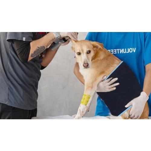 Red Light Therapy Infrared Light Therapy Wrap Belt for Body Pain Relief Wearable Large Pad for Waist Back Stomach Muscle Repair, Decrease Inflammation, Speed Healing LED 660nm&850nm with Controller