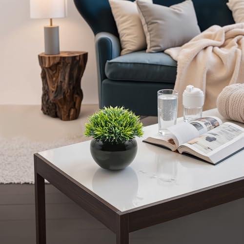 Velener Small Artificial Succulents Grass Desk Plant for Office, Fake Sage Plants for Shelf Decor, Mini Faux Plant Indoor, Masculine Home Decor, Coffee Table Decor, Bathroom Decor in Pot (2 Pack)