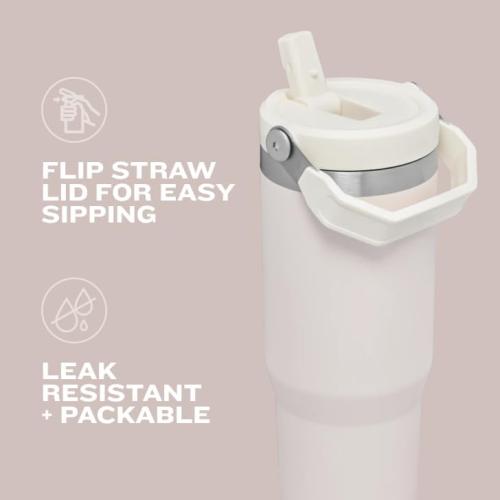 STANLEY IceFlow 2.0 Flip Straw Tumbler with Handle 30 oz | Twist On Lid and Flip Up Straw | Leak Resistant Water Bottle | Insulated Stainless Steel | BPA-Free | Frost