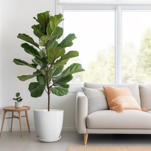 12 Inch Ceramic Planter Pot, Large Planter with Drainage Hole and Saucer Round Flower Pot for Indoor Outdoor Plants, White